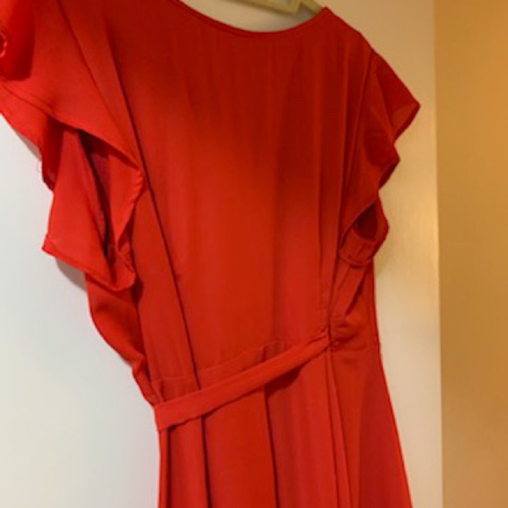 PPLA Dress - Picture 5 of 5